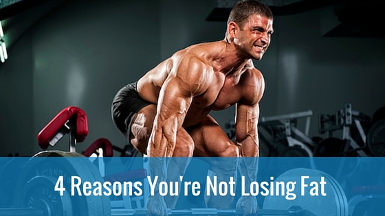 4 Reasons You're Not Losing Fat